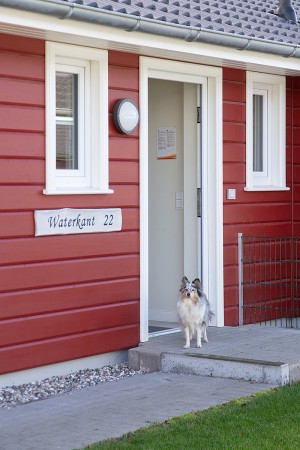 IMG 0015 B IMG 0015 B