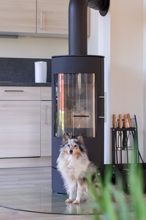 IMG 9065 B IMG 9065 B