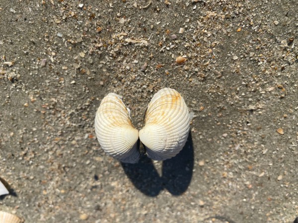 810540ae c471ead a996 f111bba67f8e 810540ae c471ead a996 f111bba67f8e